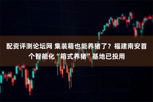 配资评测论坛网 集装箱也能养猪了？福建南安首个智能化“箱式养猪”基地已投用