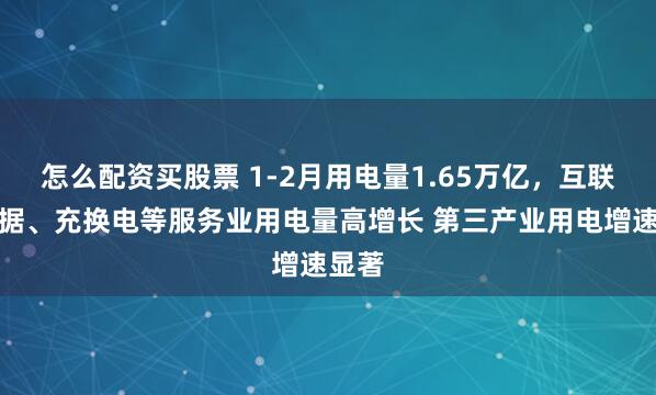 怎么配资买股票 1-2月用电量1.65万亿，互联网数据、充换电等服务业用电量高增长 第三产业用电增速显著