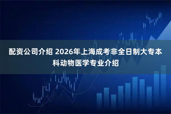 配资公司介绍 2026年上海成考非全日制大专本科动物医学专业介绍